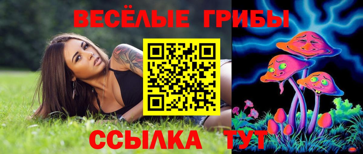 Галлюциногенные грибы мицелий Крымск
