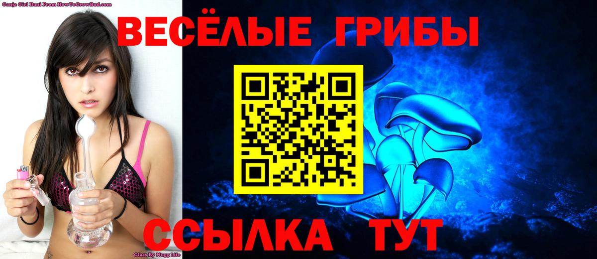 Крымск  Галлюциногенные грибы мицелий  Вход с VPN 